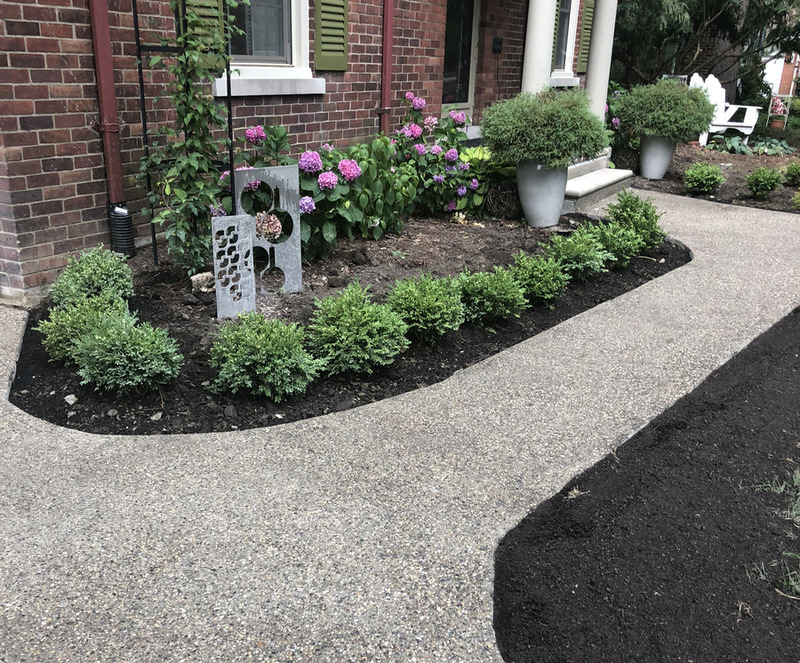 Residential curb appeal featuring a textured aggregate concrete pathway bordered by shrubs and hydrangeas, crafted by professional concrete contractors.
